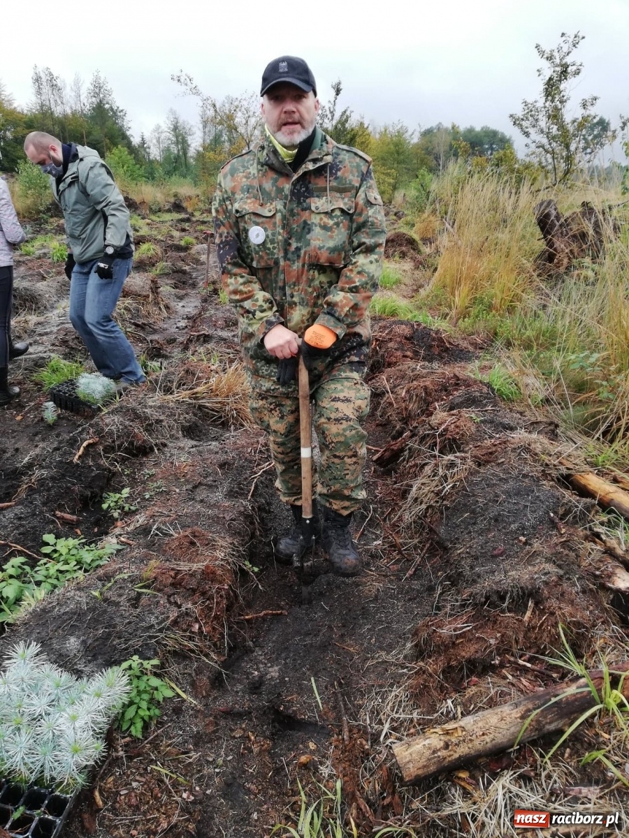 Zdjęcie w galerii na portalu naszraciborz.pl: Fundacja Mój Las posadziła w Kuźni Rac. ponad 2000 drzew  wiadomości z regionu