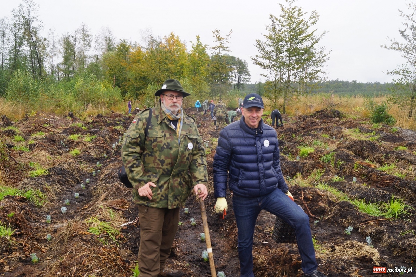 Zdjęcie w galerii na portalu naszraciborz.pl: Fundacja Mój Las posadziła w Kuźni Rac. ponad 2000 drzew  wiadomości z regionu