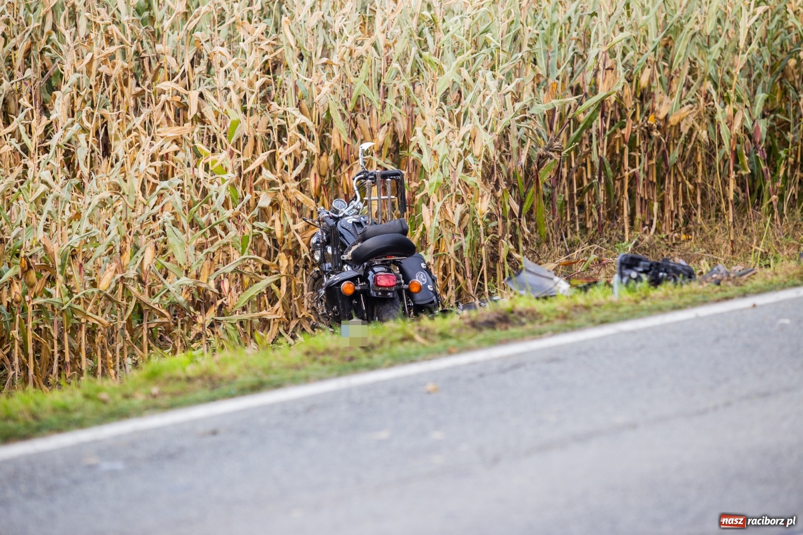Zdjęcie w galerii na portalu naszraciborz.pl: Wypadek w Żerdzinach. Motocykl zderzył się z osobówką [FOTO] wiadomości z regionu
