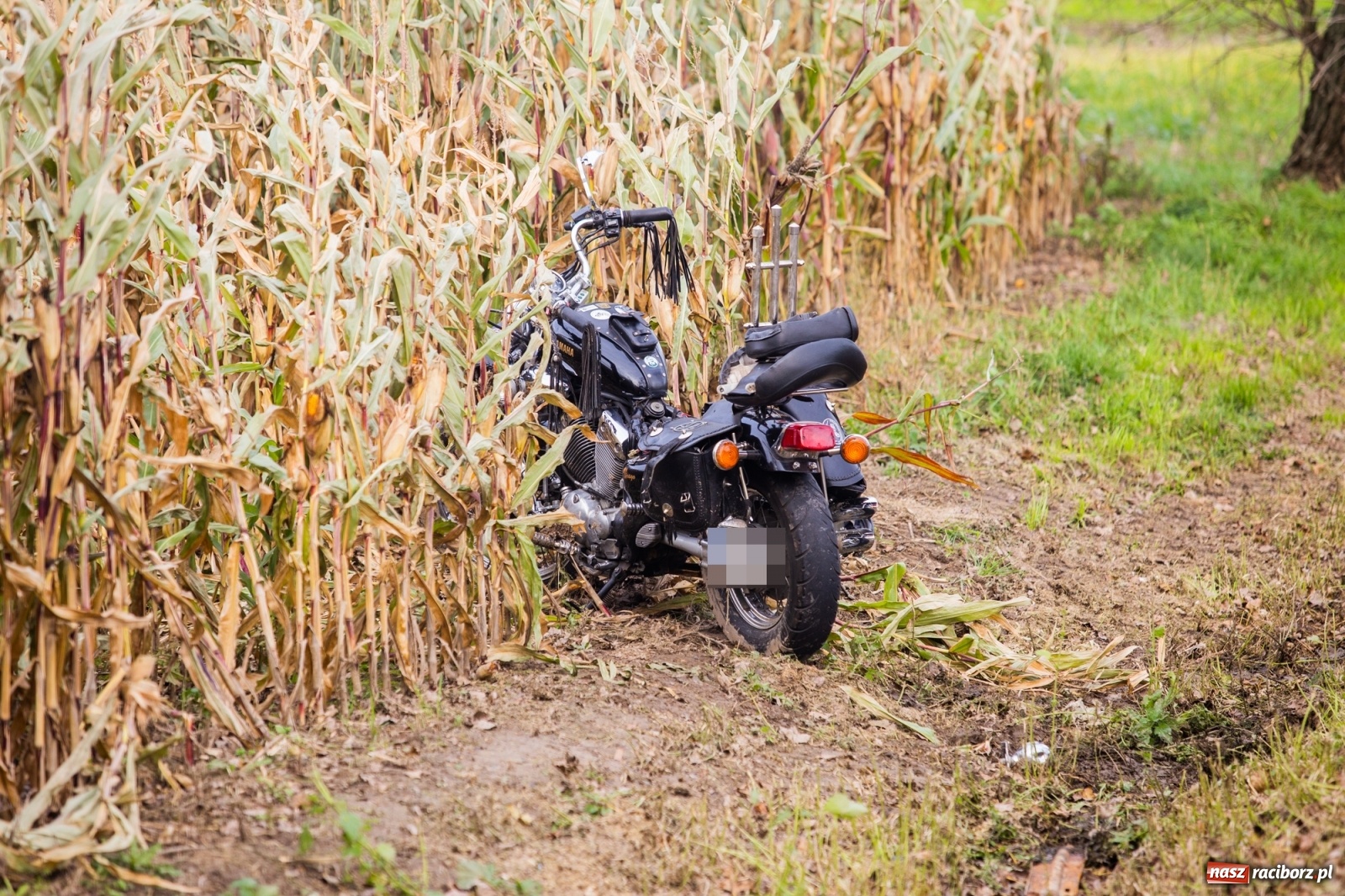 Zdjęcie w galerii na portalu naszraciborz.pl: Wypadek w Żerdzinach. Motocykl zderzył się z osobówką [FOTO] wiadomości z regionu