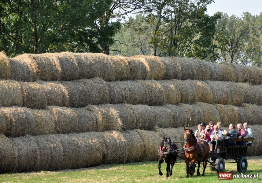 Zdjęcie w galerii na portalu naszraciborz.pl: Udany Hubertus w Krowiarkach wiadomości z regionu