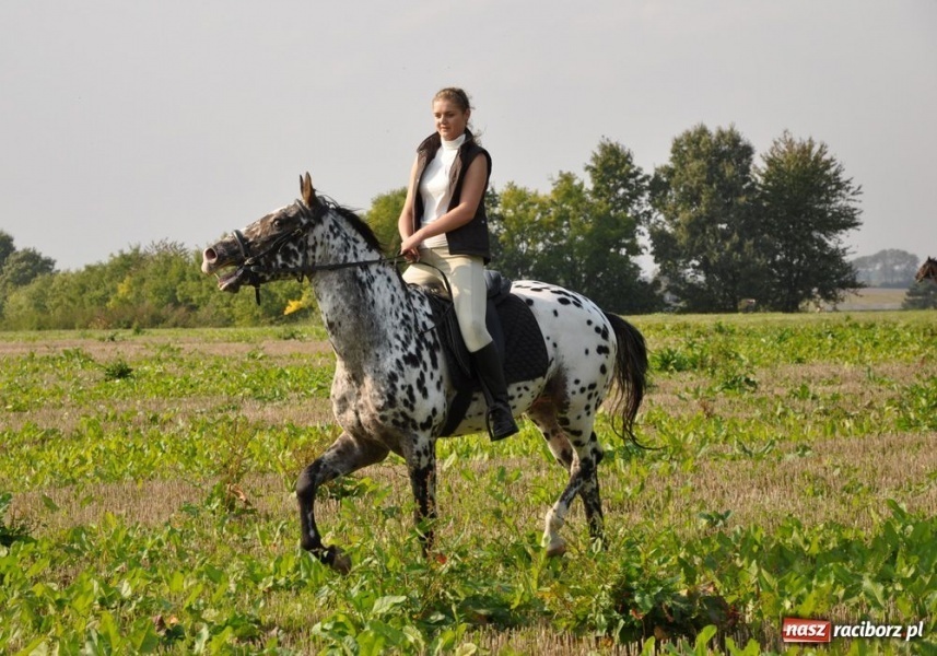 Zdjęcie w galerii na portalu naszraciborz.pl: Udany Hubertus w Krowiarkach wiadomości z regionu