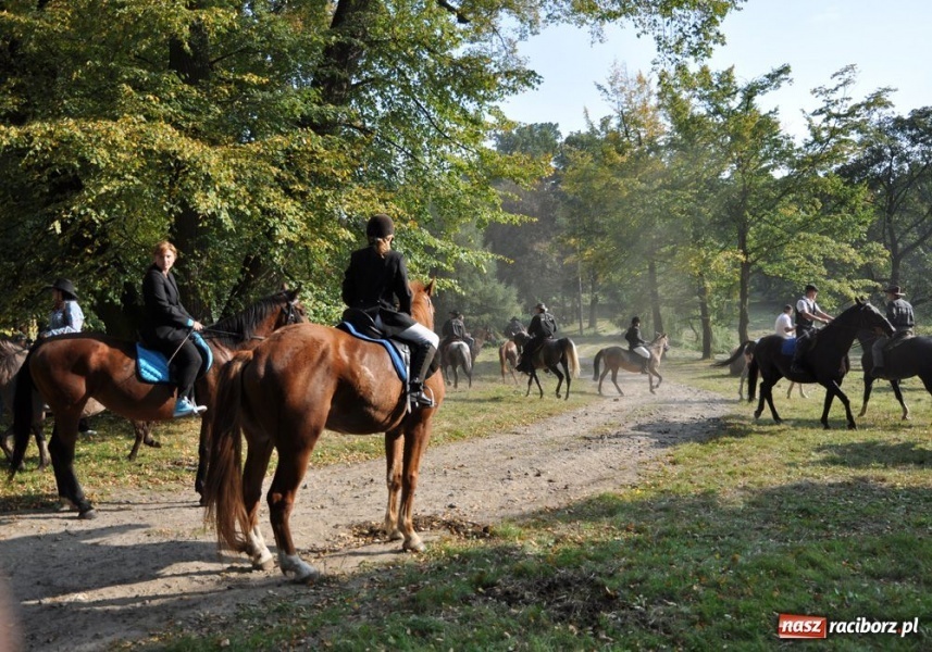 Zdjęcie w galerii na portalu naszraciborz.pl: Udany Hubertus w Krowiarkach wiadomości z regionu