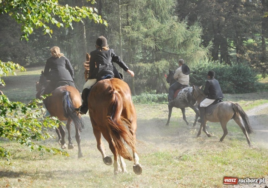 Zdjęcie w galerii na portalu naszraciborz.pl: Udany Hubertus w Krowiarkach wiadomości z regionu
