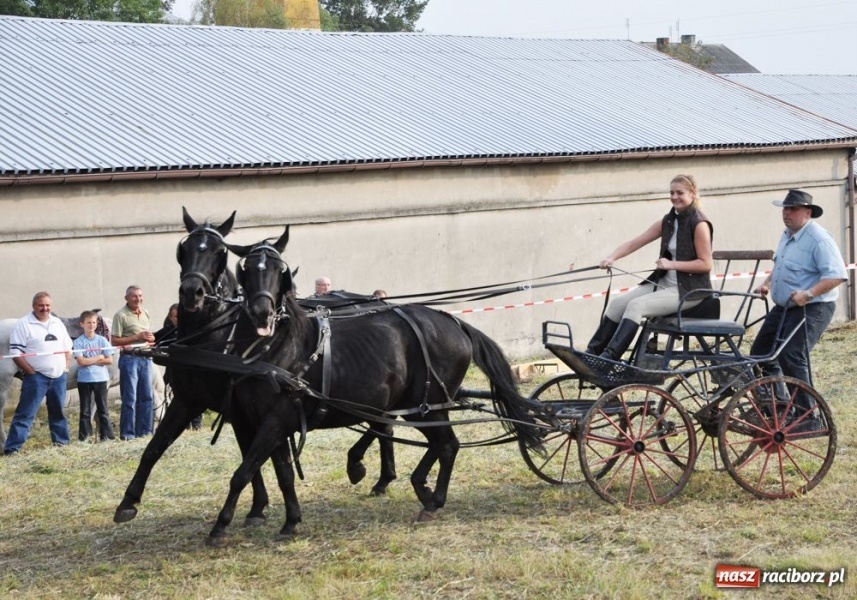 Zdjęcie w galerii na portalu naszraciborz.pl: Udany Hubertus w Krowiarkach wiadomości z regionu