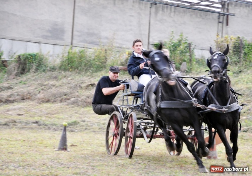 Zdjęcie w galerii na portalu naszraciborz.pl: Udany Hubertus w Krowiarkach wiadomości z regionu