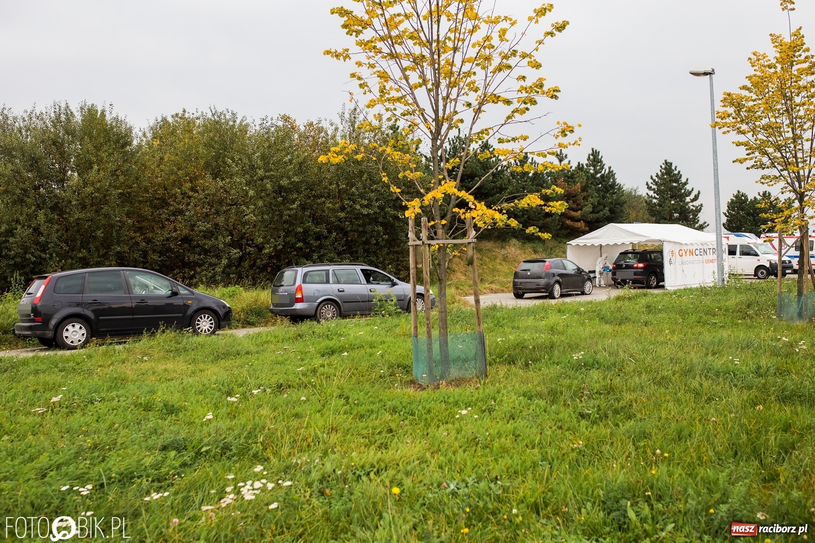 Zdjęcie w galerii na portalu naszraciborz.pl: COViD-19. 16 300 nowych potwierdzonych zakażeń. Zmarło dwóch mieszkańców naszego powiatu wiadomości z regionu