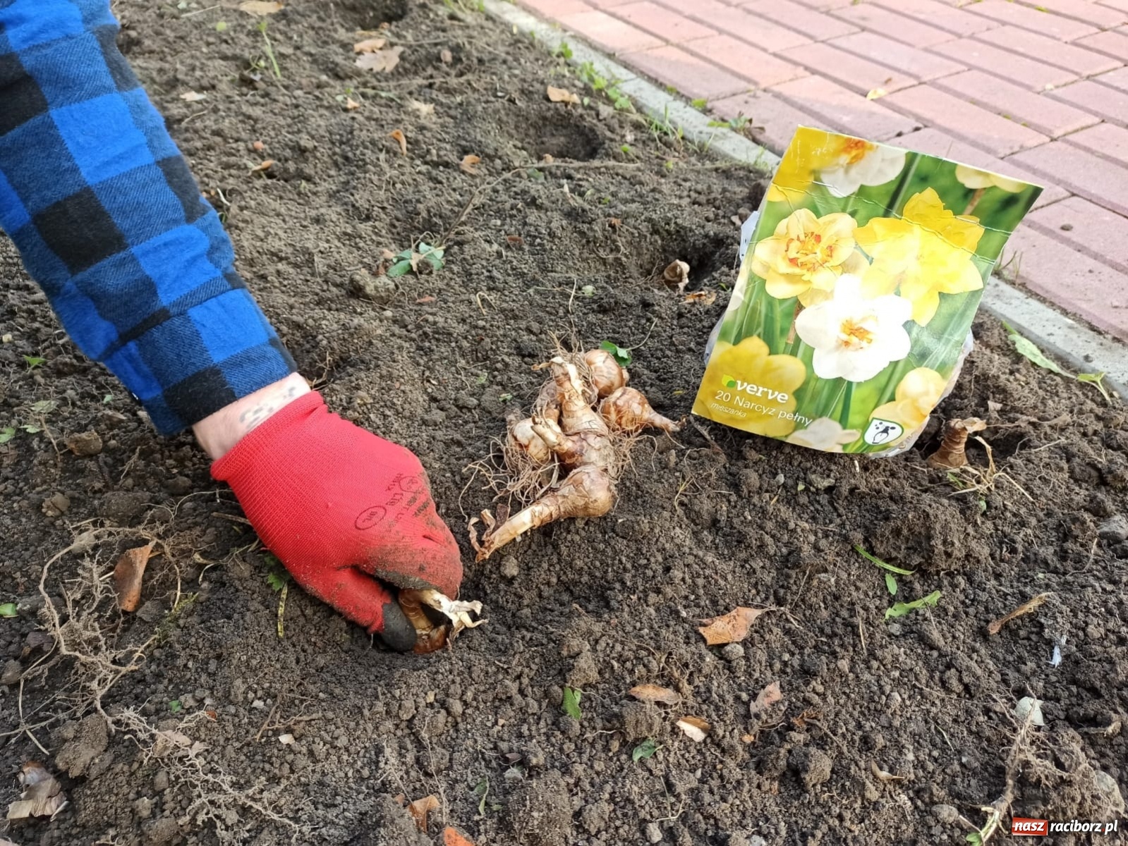 Zdjęcie w galerii na portalu naszraciborz.pl: Finał akcji Pola Nadziei w raciborskim ZK wiadomości z regionu