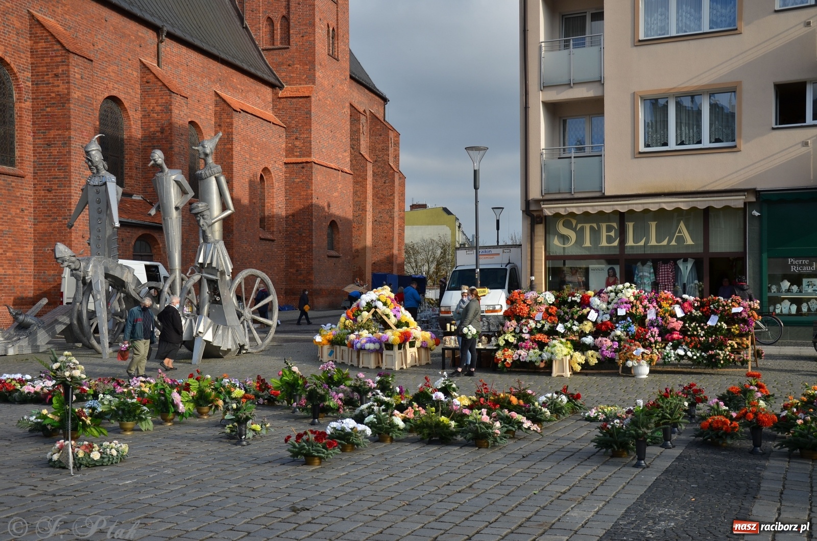 Zdjęcie w galerii na portalu naszraciborz.pl: Chryzantemy pod raciborskim ratuszem. Miasto zapowiedziało pomoc  wiadomości z regionu