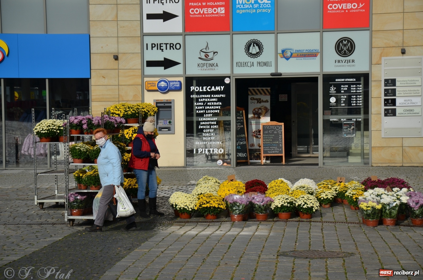 Zdjęcie w galerii na portalu naszraciborz.pl: Chryzantemy pod raciborskim ratuszem. Miasto zapowiedziało pomoc  wiadomości z regionu