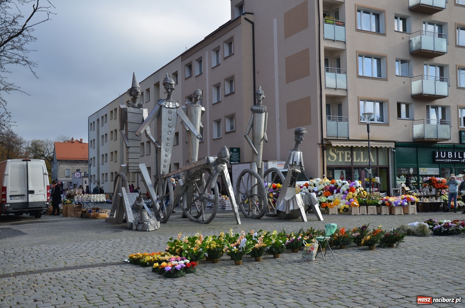 Zdjęcie w galerii na portalu naszraciborz.pl: Chryzantemy pod raciborskim ratuszem. Miasto zapowiedziało pomoc  wiadomości z regionu