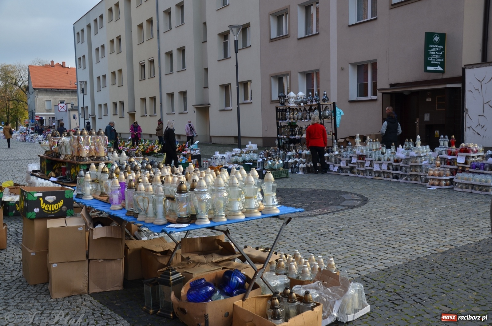 Zdjęcie w galerii na portalu naszraciborz.pl: Chryzantemy pod raciborskim ratuszem. Miasto zapowiedziało pomoc  wiadomości z regionu