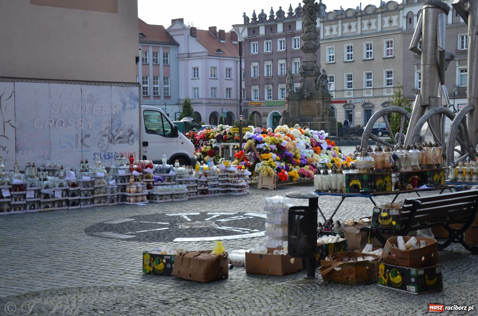 Zdjęcie w galerii na portalu naszraciborz.pl: Chryzantemy pod raciborskim ratuszem. Miasto zapowiedziało pomoc  wiadomości z regionu
