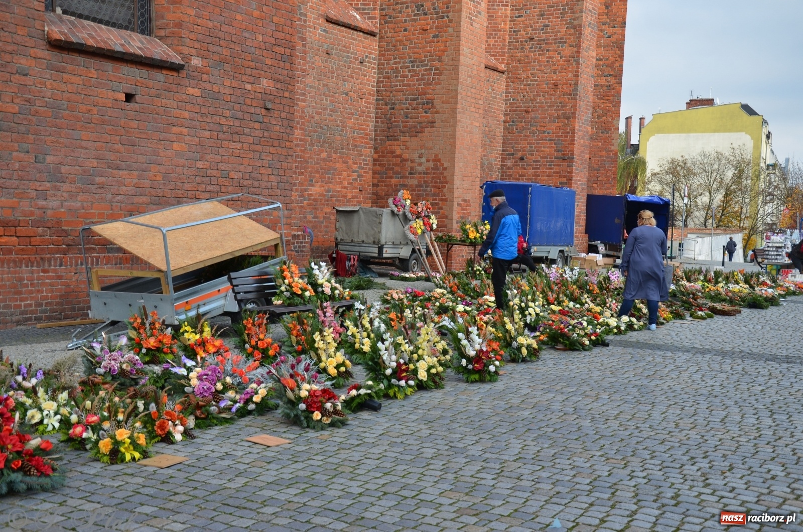 Zdjęcie w galerii na portalu naszraciborz.pl: Chryzantemy pod raciborskim ratuszem. Miasto zapowiedziało pomoc  wiadomości z regionu