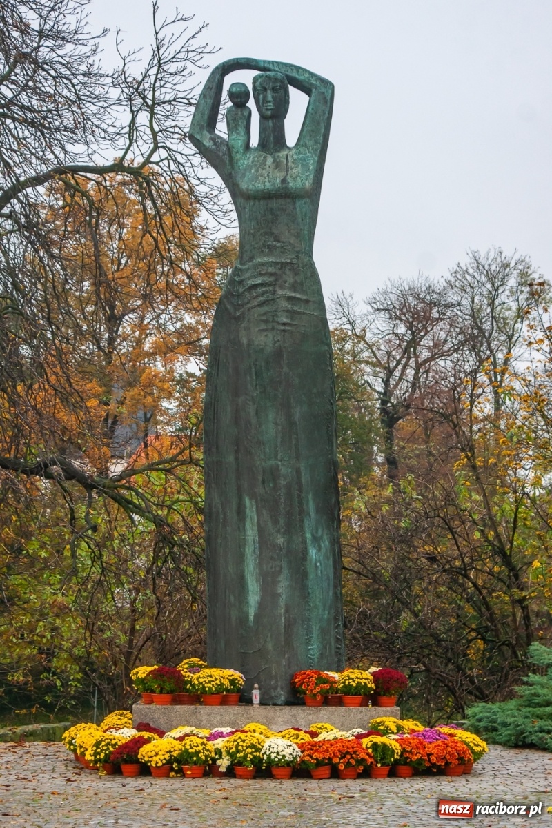Zdjęcie w galerii na portalu naszraciborz.pl: Władze miasta odkupiły 1600 chryzantem  wiadomości z regionu
