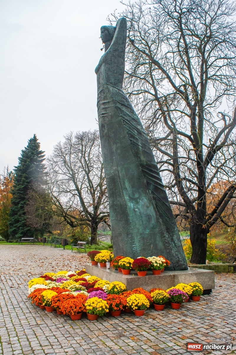 Zdjęcie w galerii na portalu naszraciborz.pl: Władze miasta odkupiły 1600 chryzantem  wiadomości z regionu