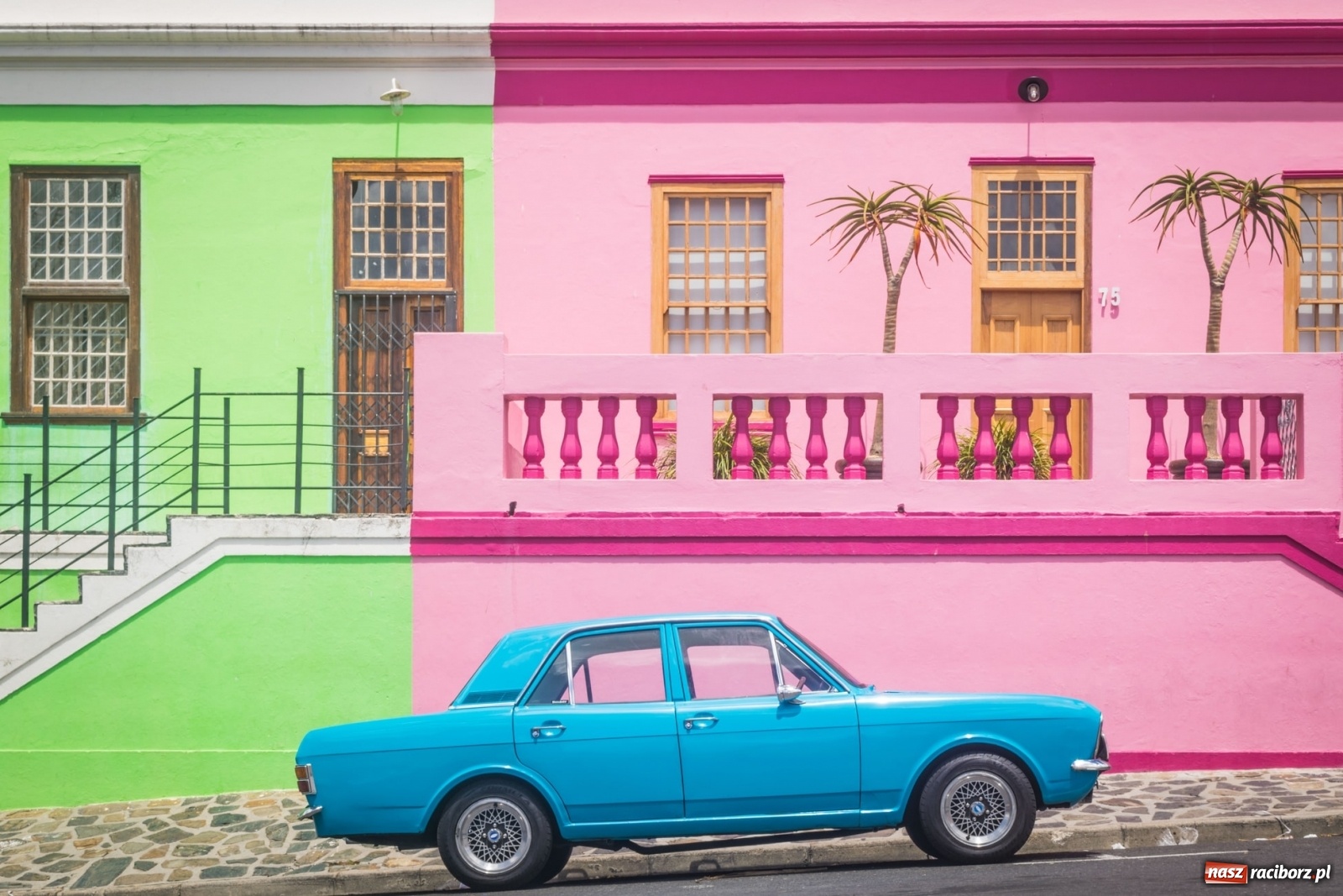 Zdjęcie w galerii na portalu naszraciborz.pl: Wycieczki do RPA po królewsku z CARTER® Pingwiny, Winnice, Wieloryby i Wielka Piątka! wiadomości z regionu