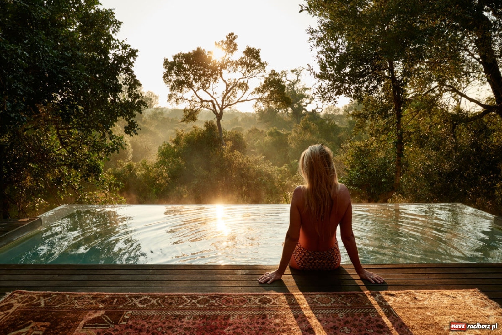 Zdjęcie w galerii na portalu naszraciborz.pl: Wycieczki do RPA po królewsku z CARTER® Pingwiny, Winnice, Wieloryby i Wielka Piątka! wiadomości z regionu
