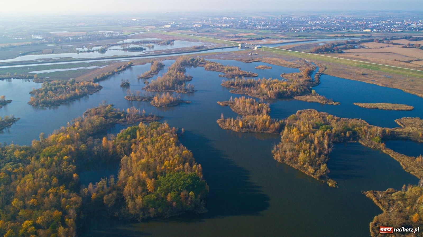 Zdjęcie w galerii na portalu naszraciborz.pl: Zbiornik Racibórz w barwach złotej jesieni [FOTO] wiadomości z regionu