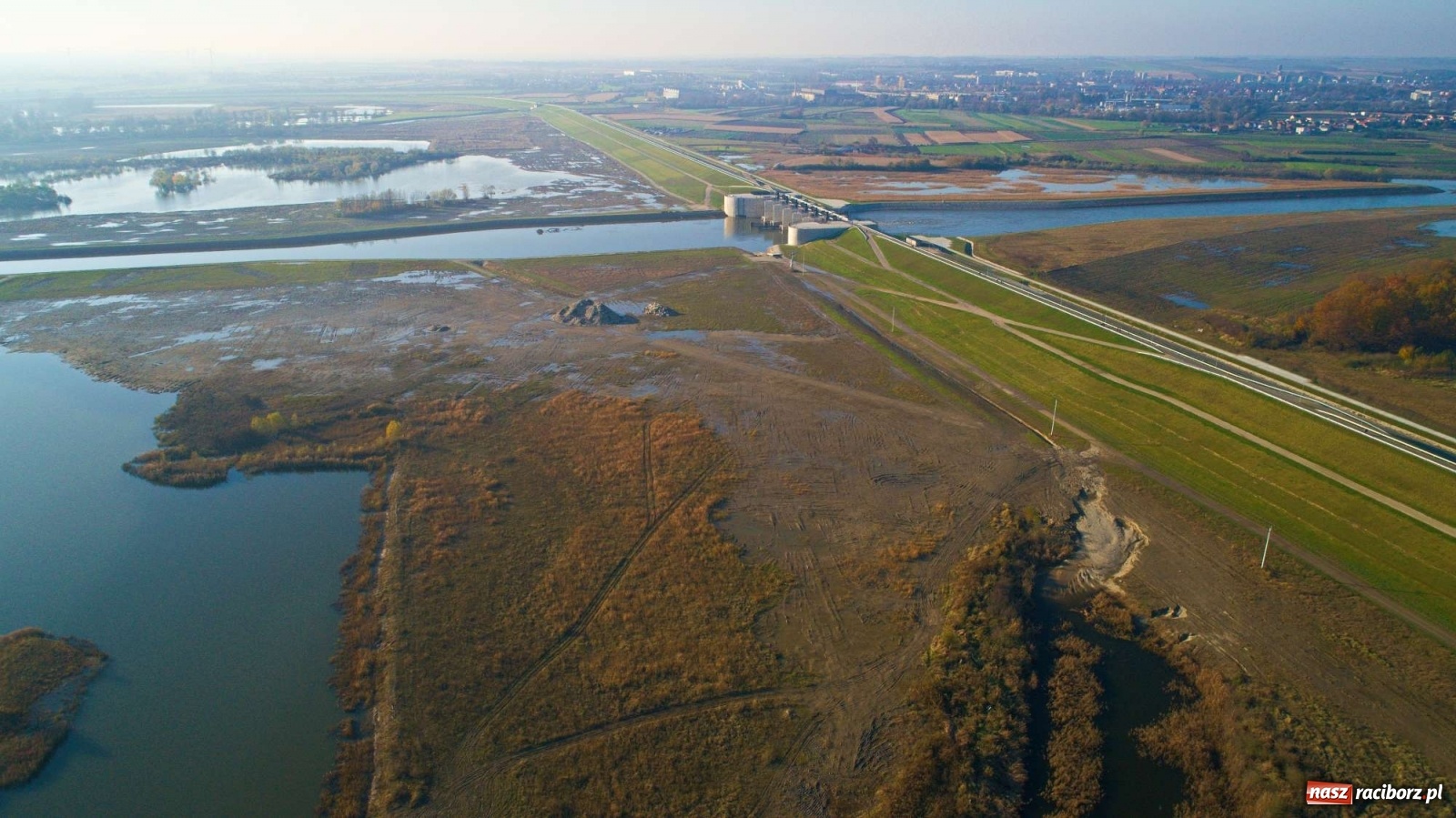 Zdjęcie w galerii na portalu naszraciborz.pl: Zbiornik Racibórz w barwach złotej jesieni [FOTO] wiadomości z regionu