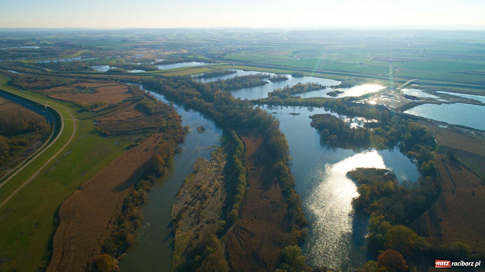 Zdjęcie w galerii na portalu naszraciborz.pl: Zbiornik Racibórz w barwach złotej jesieni [FOTO] wiadomości z regionu