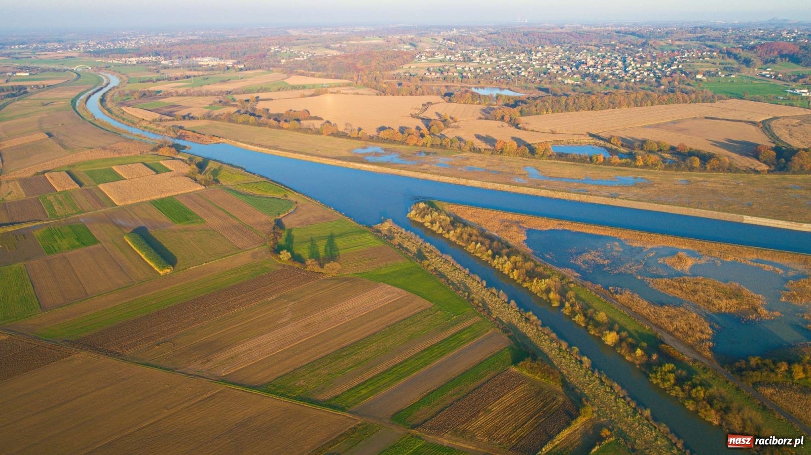 Zdjęcie w galerii na portalu naszraciborz.pl: Zbiornik Racibórz w barwach złotej jesieni [FOTO] wiadomości z regionu