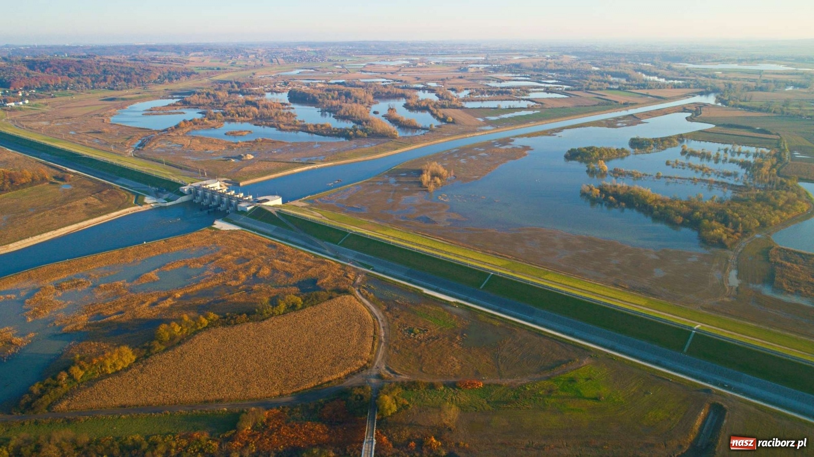 Zdjęcie w galerii na portalu naszraciborz.pl: Zbiornik Racibórz w barwach złotej jesieni [FOTO] wiadomości z regionu