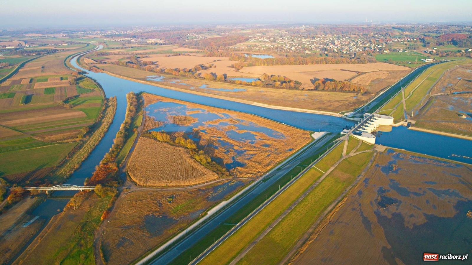 Zdjęcie w galerii na portalu naszraciborz.pl: Zbiornik Racibórz w barwach złotej jesieni [FOTO] wiadomości z regionu