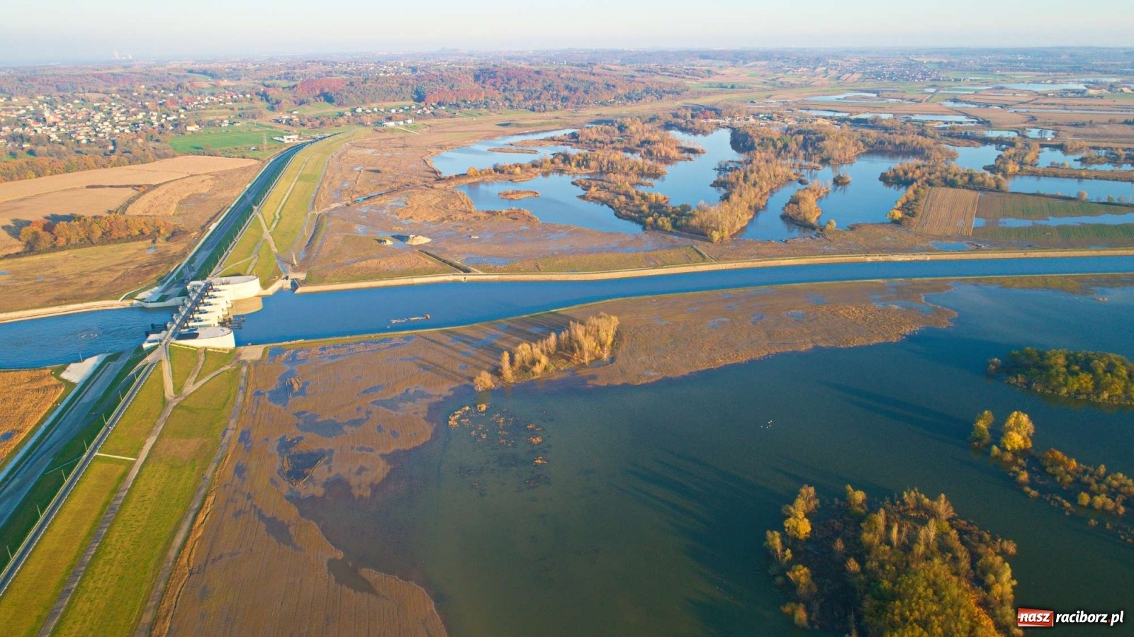 Zdjęcie w galerii na portalu naszraciborz.pl: Zbiornik Racibórz w barwach złotej jesieni [FOTO] wiadomości z regionu