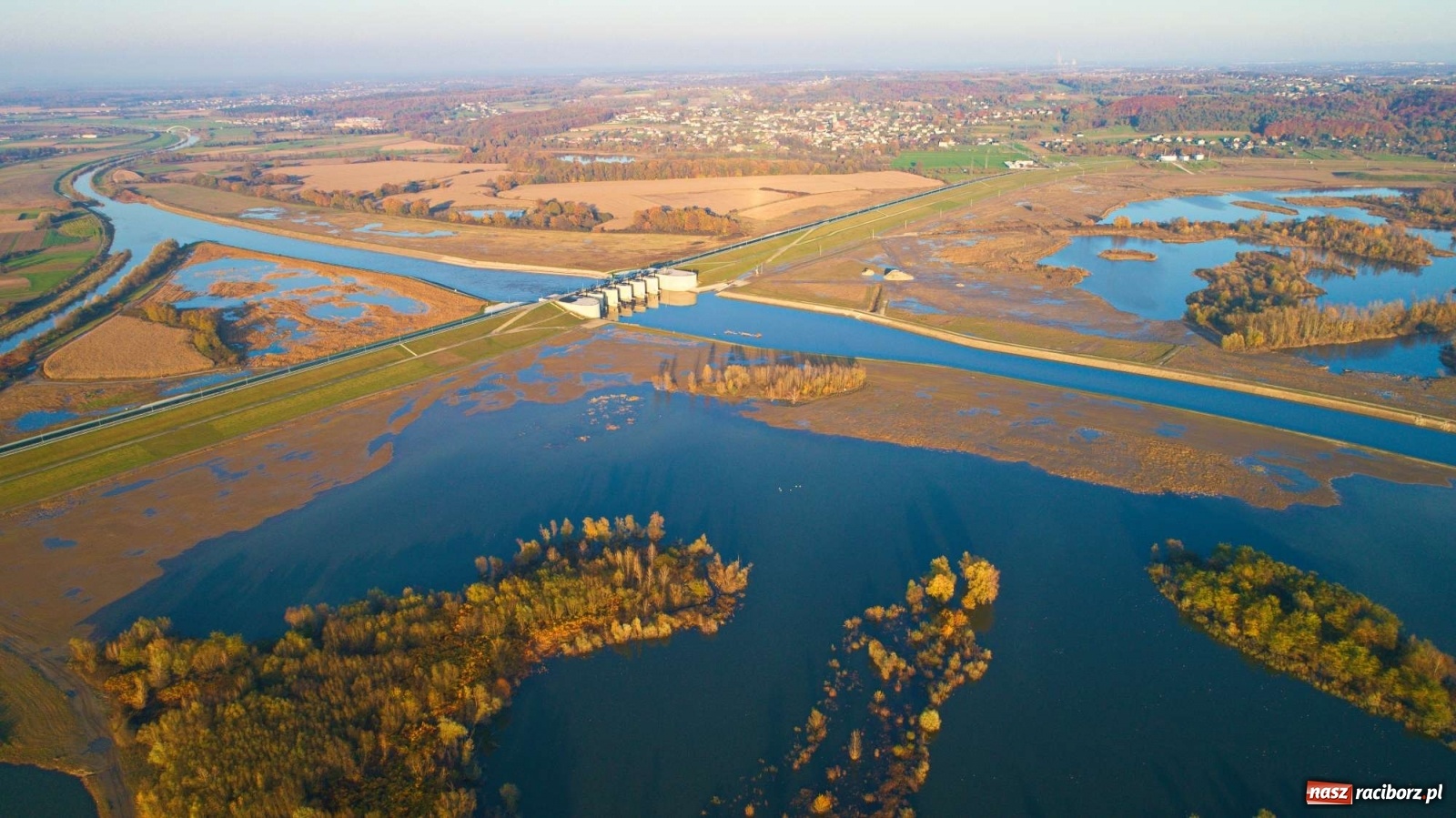 Zdjęcie w galerii na portalu naszraciborz.pl: Zbiornik Racibórz w barwach złotej jesieni [FOTO] wiadomości z regionu
