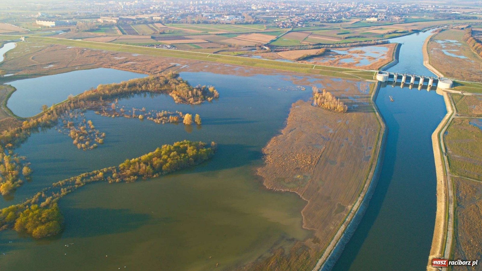 Zdjęcie w galerii na portalu naszraciborz.pl: Zbiornik Racibórz w barwach złotej jesieni [FOTO] wiadomości z regionu
