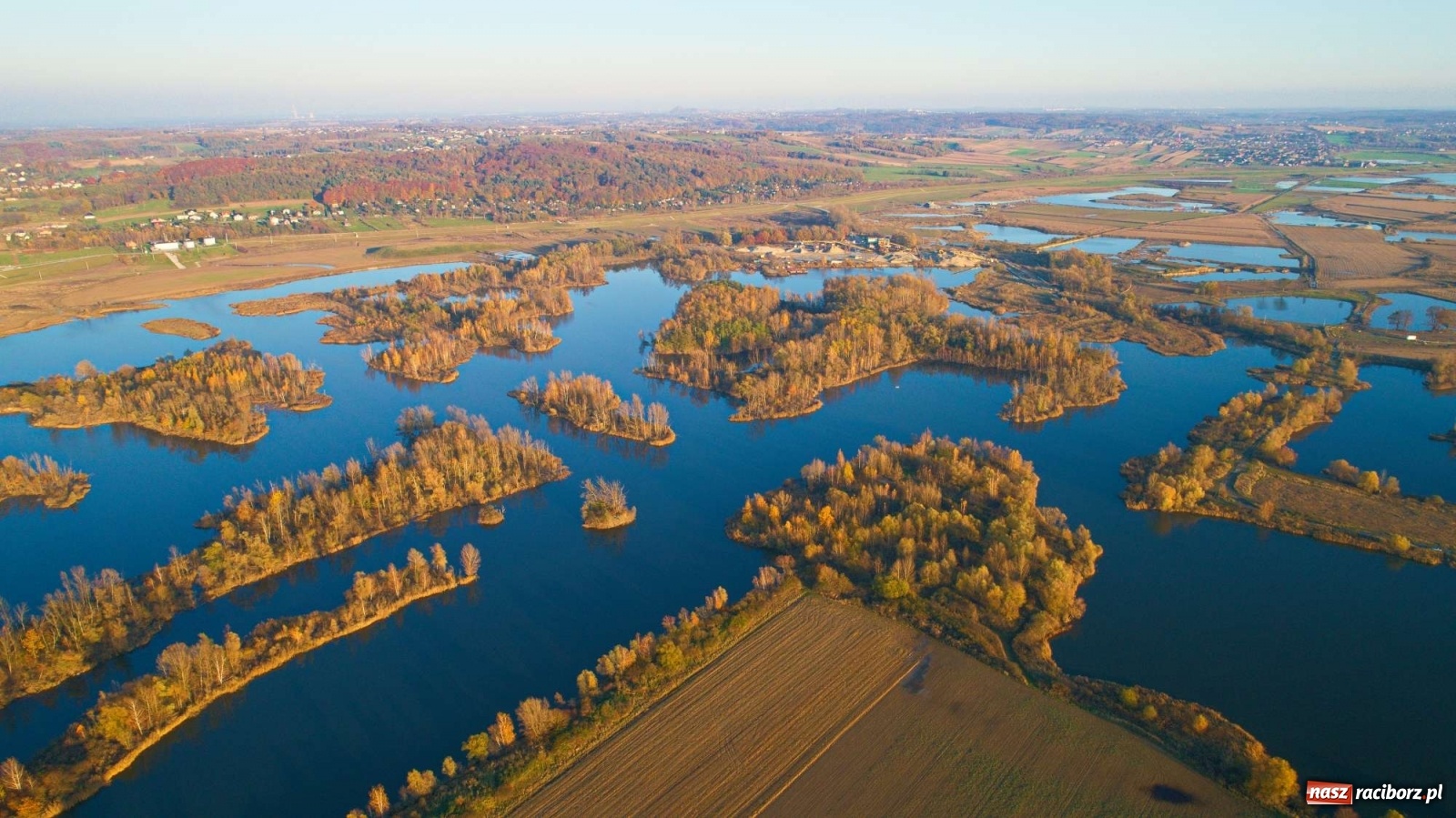 Zdjęcie w galerii na portalu naszraciborz.pl: Zbiornik Racibórz w barwach złotej jesieni [FOTO] wiadomości z regionu