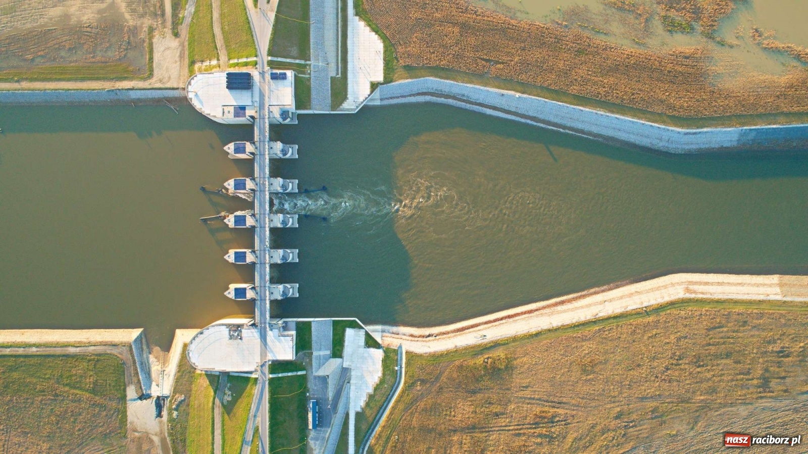 Zdjęcie w galerii na portalu naszraciborz.pl: Zbiornik Racibórz w barwach złotej jesieni [FOTO] wiadomości z regionu