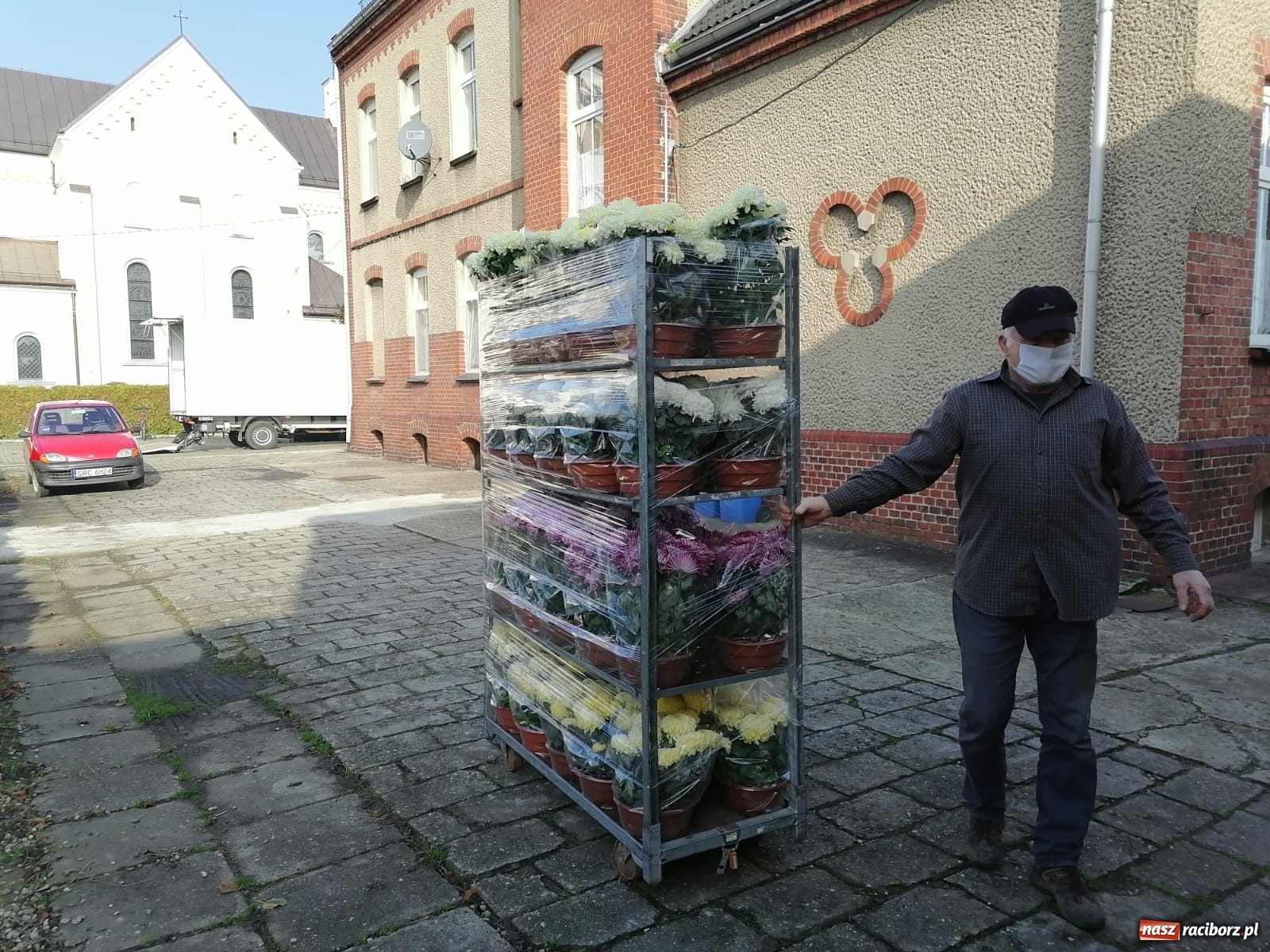 Zdjęcie w galerii na portalu naszraciborz.pl: Gmina Kuźnia Raciborska przyozdobiona chryzantemami [FOTO] wiadomości z regionu