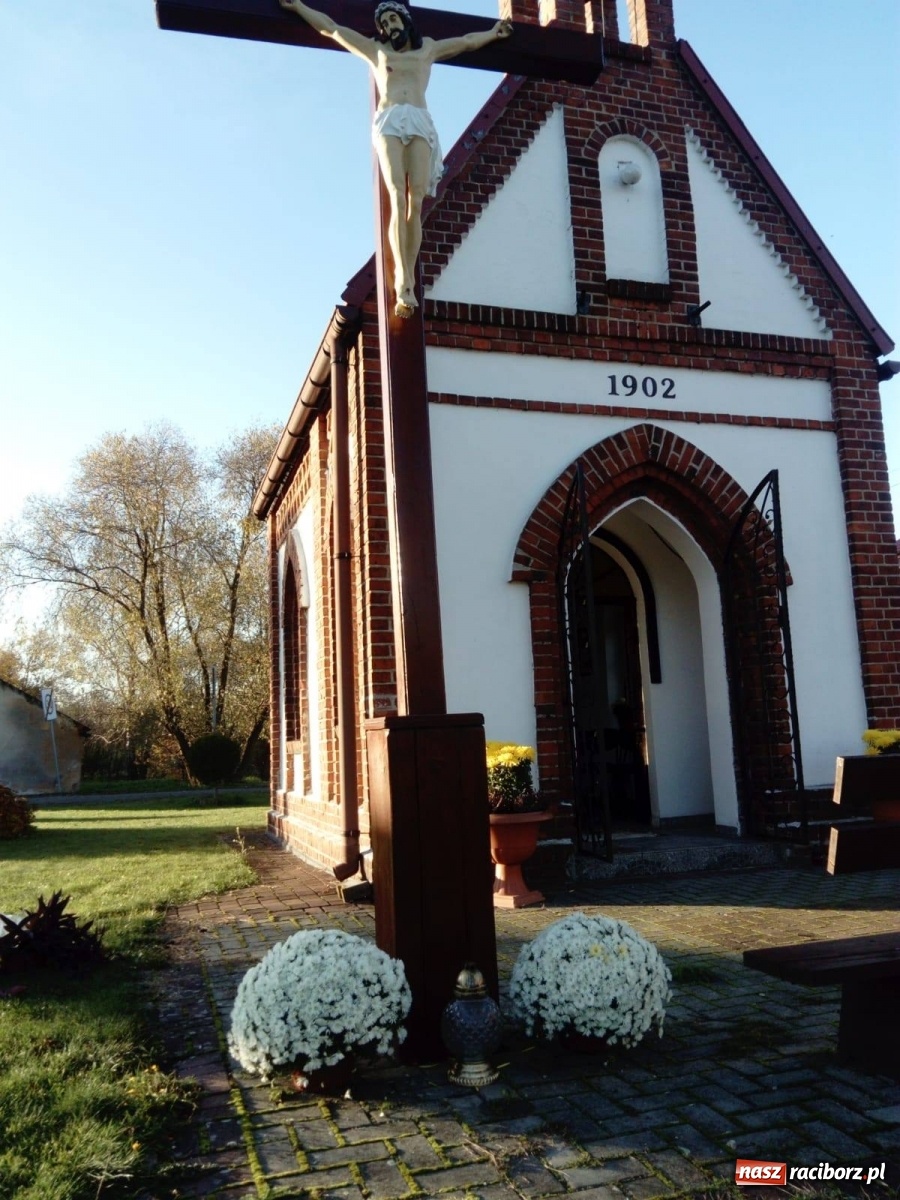 Zdjęcie w galerii na portalu naszraciborz.pl: Gmina Kuźnia Raciborska przyozdobiona chryzantemami [FOTO] wiadomości z regionu