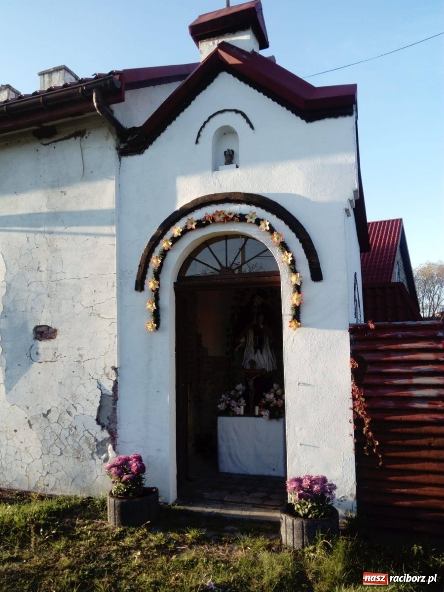 Zdjęcie w galerii na portalu naszraciborz.pl: Gmina Kuźnia Raciborska przyozdobiona chryzantemami [FOTO] wiadomości z regionu