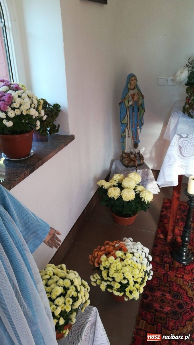 Zdjęcie w galerii na portalu naszraciborz.pl: Gmina Kuźnia Raciborska przyozdobiona chryzantemami [FOTO] wiadomości z regionu