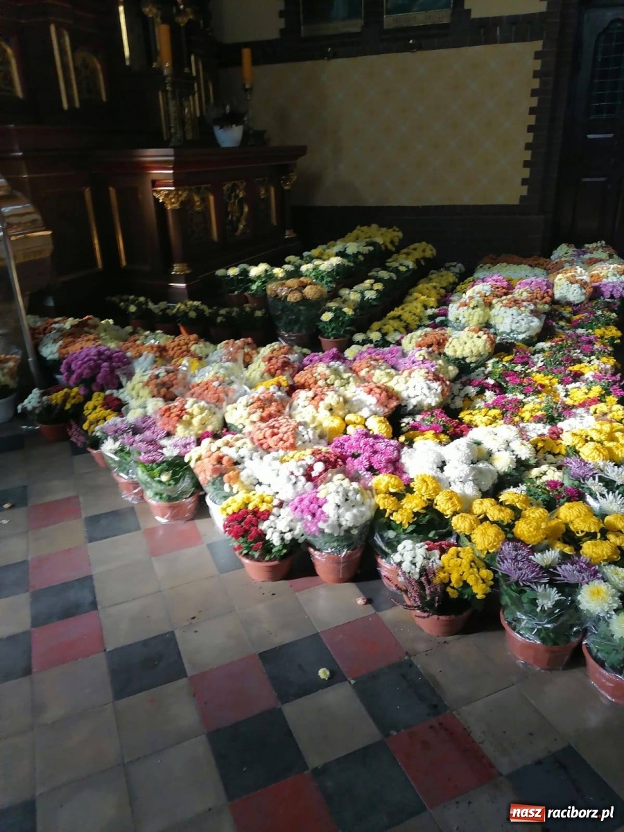Zdjęcie w galerii na portalu naszraciborz.pl: Gmina Kuźnia Raciborska przyozdobiona chryzantemami [FOTO] wiadomości z regionu