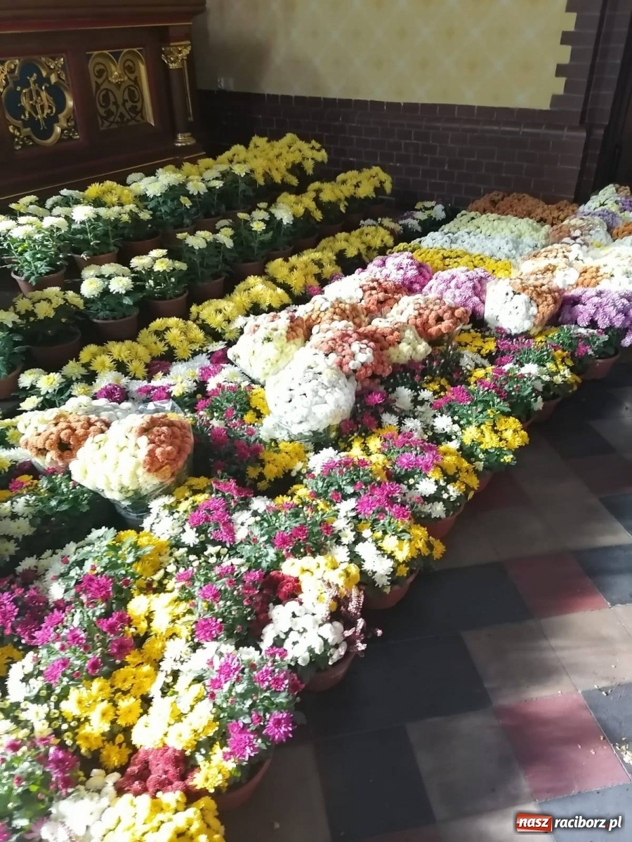 Zdjęcie w galerii na portalu naszraciborz.pl: Gmina Kuźnia Raciborska przyozdobiona chryzantemami [FOTO] wiadomości z regionu