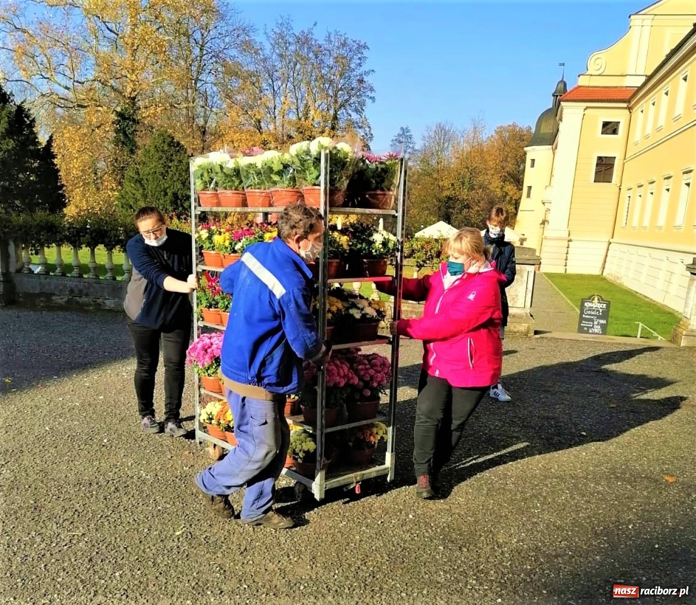 Zdjęcie w galerii na portalu naszraciborz.pl: Gmina Kuźnia Raciborska przyozdobiona chryzantemami [FOTO] wiadomości z regionu