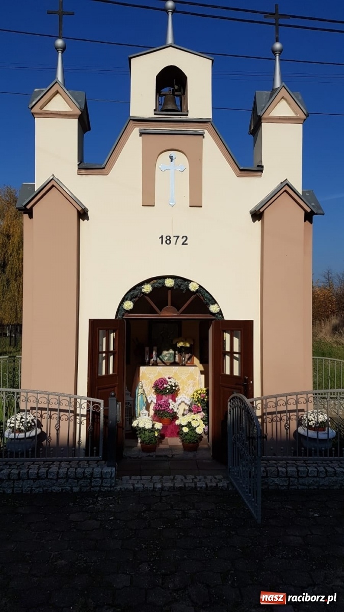 Zdjęcie w galerii na portalu naszraciborz.pl: Gmina Kuźnia Raciborska przyozdobiona chryzantemami [FOTO] wiadomości z regionu