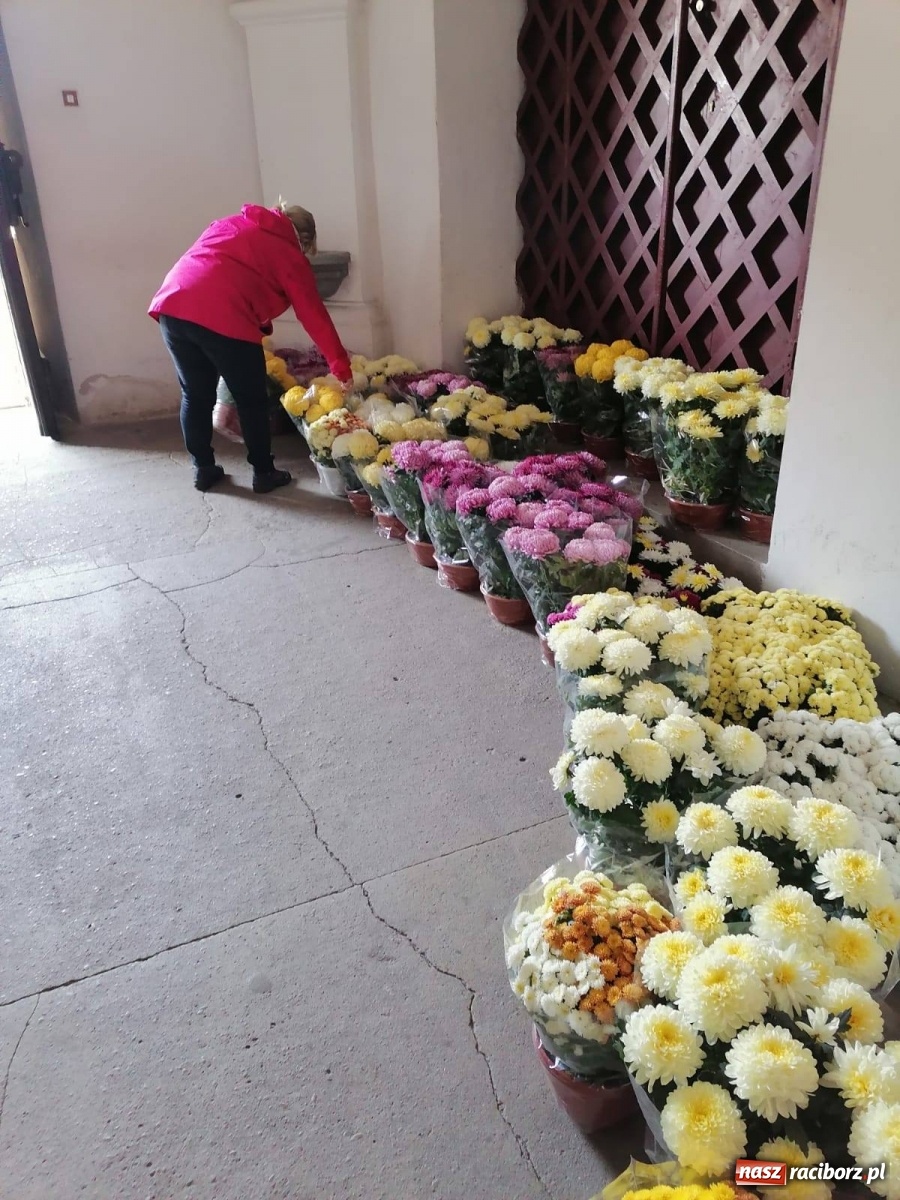 Zdjęcie w galerii na portalu naszraciborz.pl: Gmina Kuźnia Raciborska przyozdobiona chryzantemami [FOTO] wiadomości z regionu