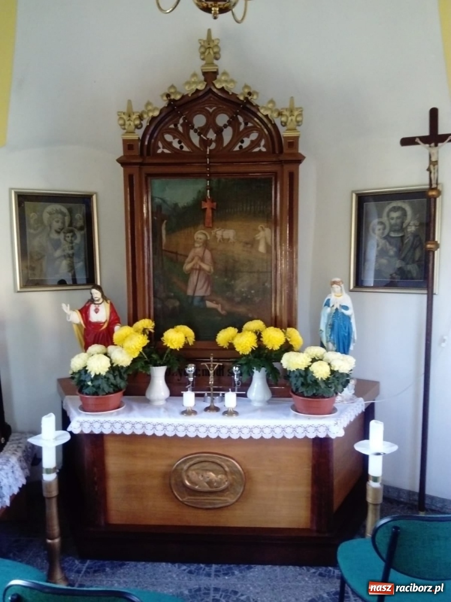 Zdjęcie w galerii na portalu naszraciborz.pl: Gmina Kuźnia Raciborska przyozdobiona chryzantemami [FOTO] wiadomości z regionu