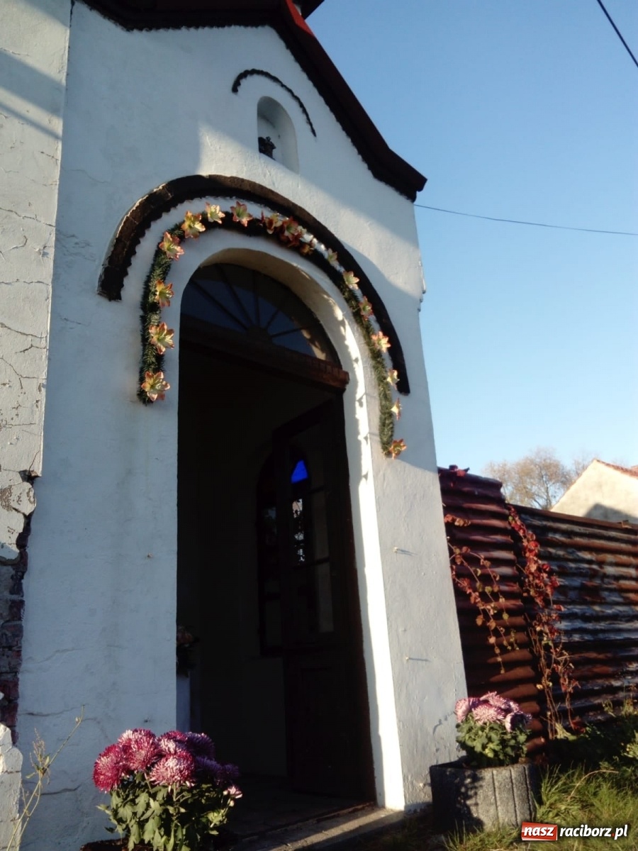 Zdjęcie w galerii na portalu naszraciborz.pl: Gmina Kuźnia Raciborska przyozdobiona chryzantemami [FOTO] wiadomości z regionu