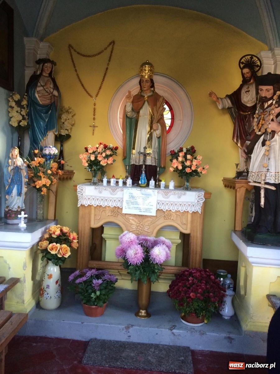 Zdjęcie w galerii na portalu naszraciborz.pl: Gmina Kuźnia Raciborska przyozdobiona chryzantemami [FOTO] wiadomości z regionu