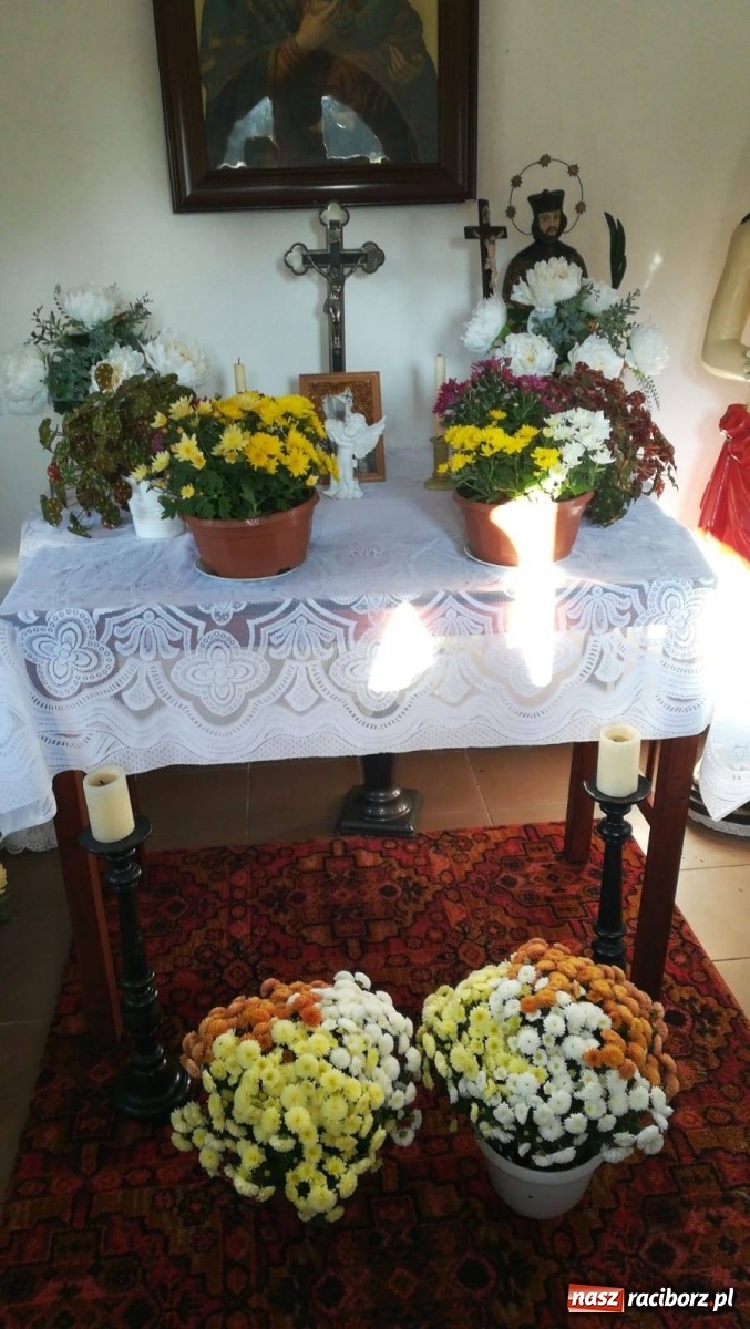 Zdjęcie w galerii na portalu naszraciborz.pl: Gmina Kuźnia Raciborska przyozdobiona chryzantemami [FOTO] wiadomości z regionu