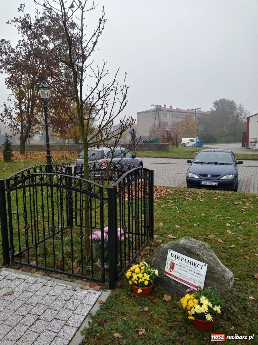 Zdjęcie w galerii na portalu naszraciborz.pl: Gmina Kuźnia Raciborska przyozdobiona chryzantemami [FOTO] wiadomości z regionu