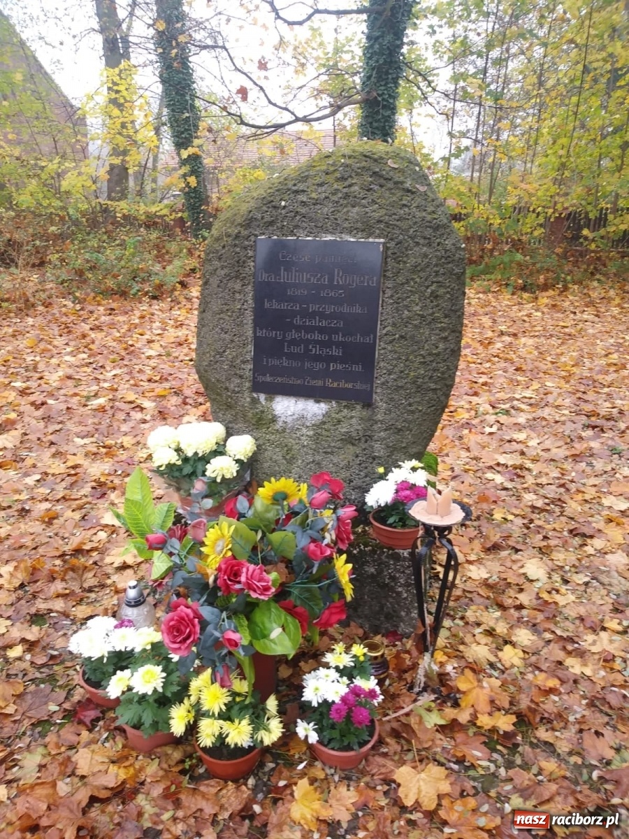 Zdjęcie w galerii na portalu naszraciborz.pl: Gmina Kuźnia Raciborska przyozdobiona chryzantemami [FOTO] wiadomości z regionu