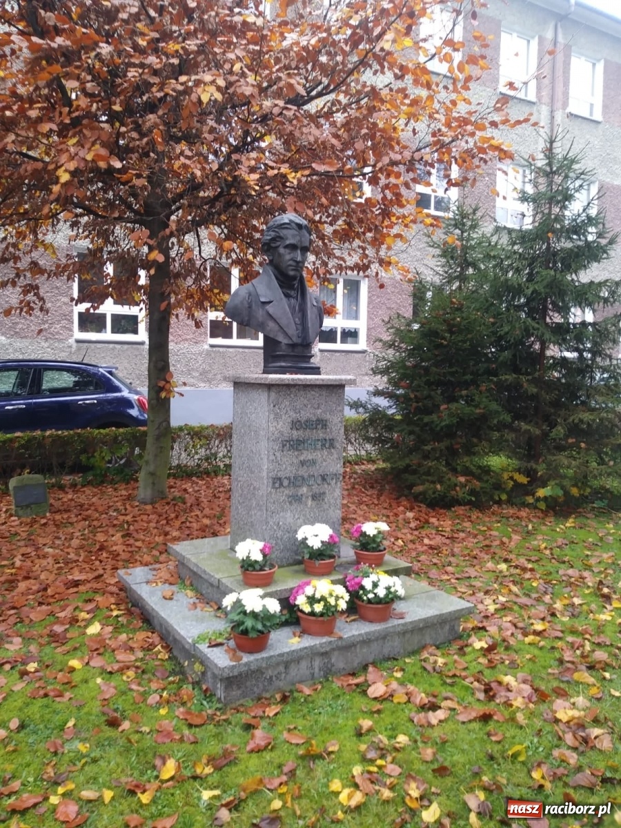 Zdjęcie w galerii na portalu naszraciborz.pl: Gmina Kuźnia Raciborska przyozdobiona chryzantemami [FOTO] wiadomości z regionu