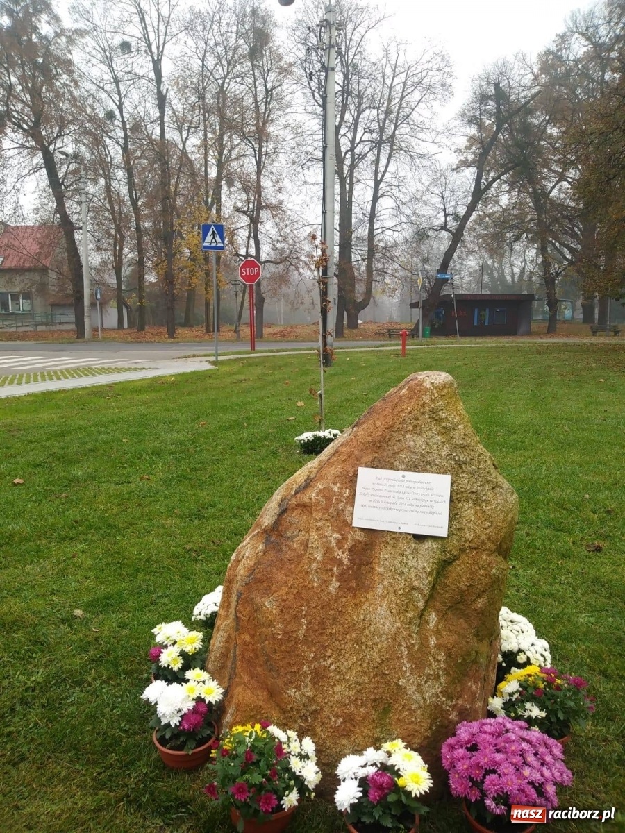 Zdjęcie w galerii na portalu naszraciborz.pl: Gmina Kuźnia Raciborska przyozdobiona chryzantemami [FOTO] wiadomości z regionu